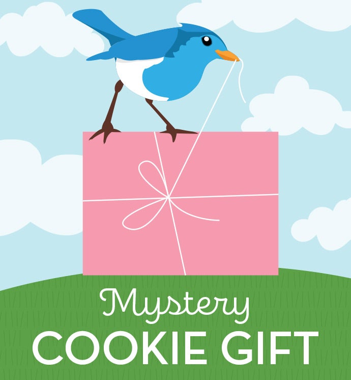 Special Value Mystery Flavors Cookie Gift